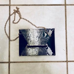 Snake skin clutch with chain